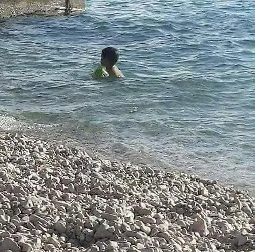 Apartman Sunlit Zadar Zadar